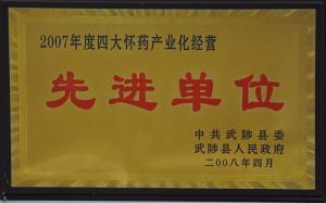 2007年度四大懷藥產業化經營先進單位