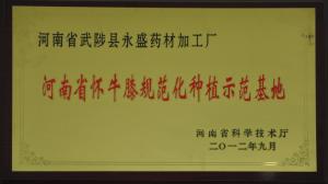 河南省懷牛膝規范化種植示范基地