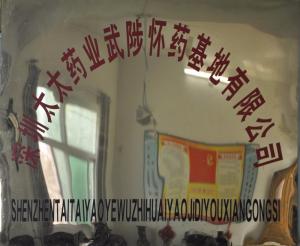 深圳太太藥業武陟懷藥基地