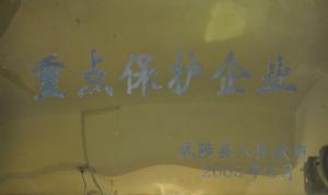 重點保護企業
